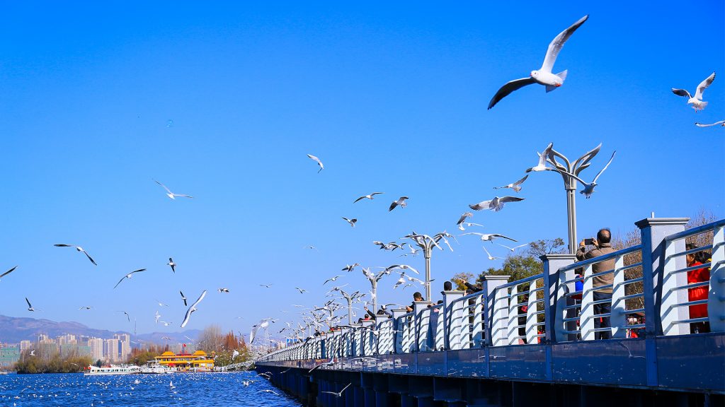  Dianchi Lake