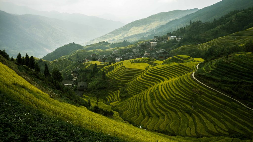 Longji Rice Terraces