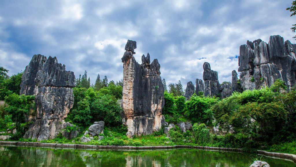 Stone Forest