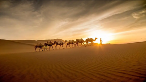 Cities on The Silk Road Map