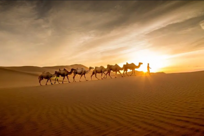 Cities on The Silk Road Map