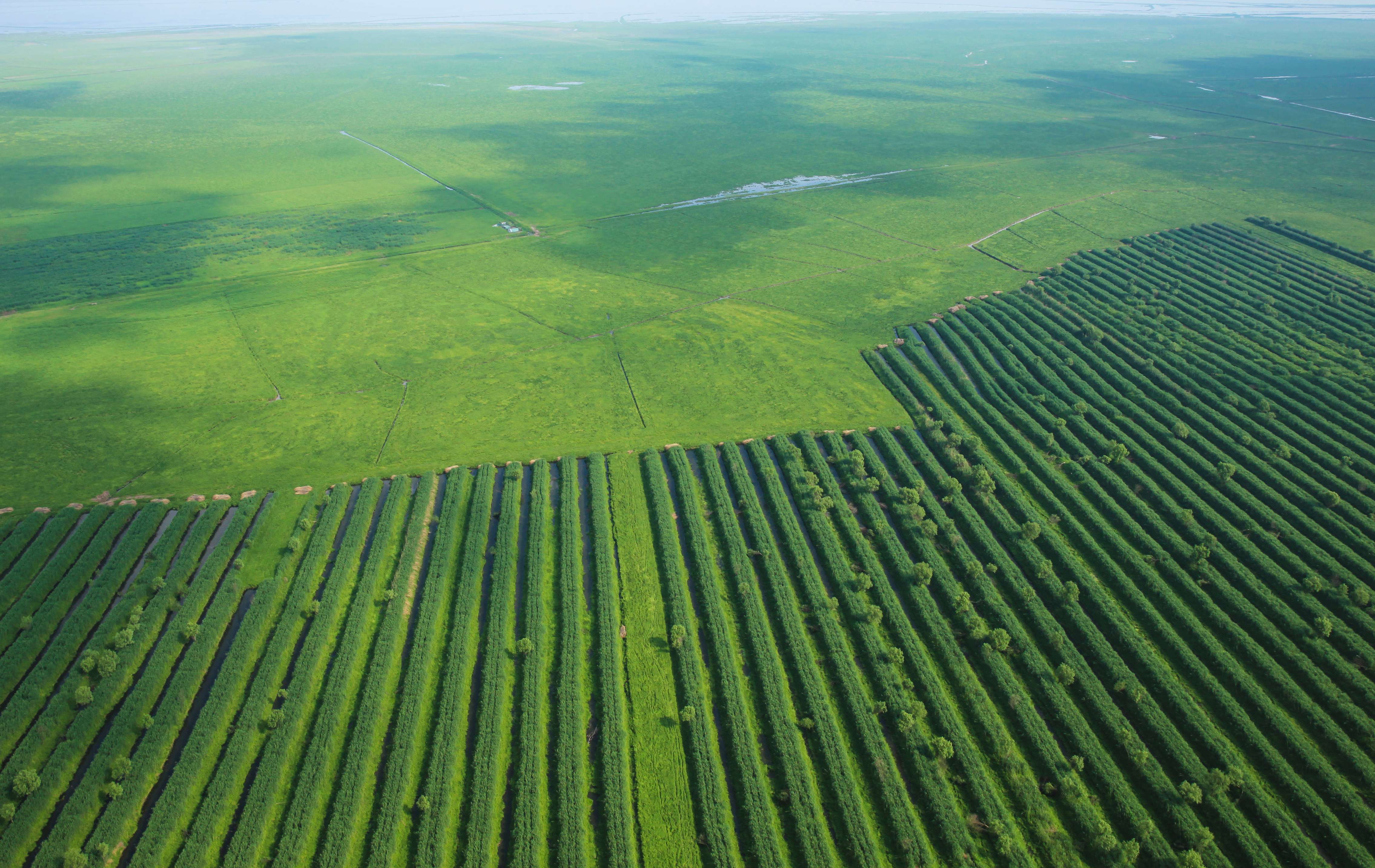 East Dongting Lake National Nature Reserve