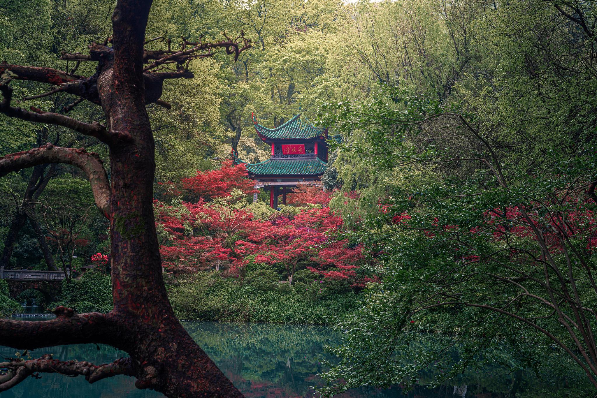 Yuelu Mountain