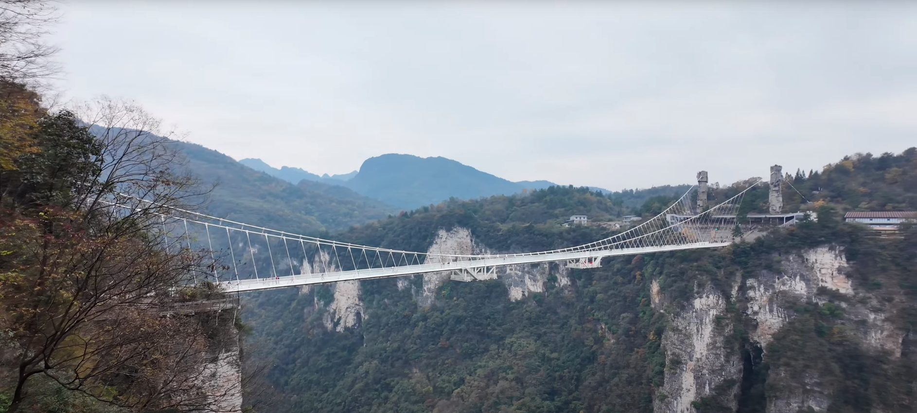 Glass bridge zhangjiajie national forest park