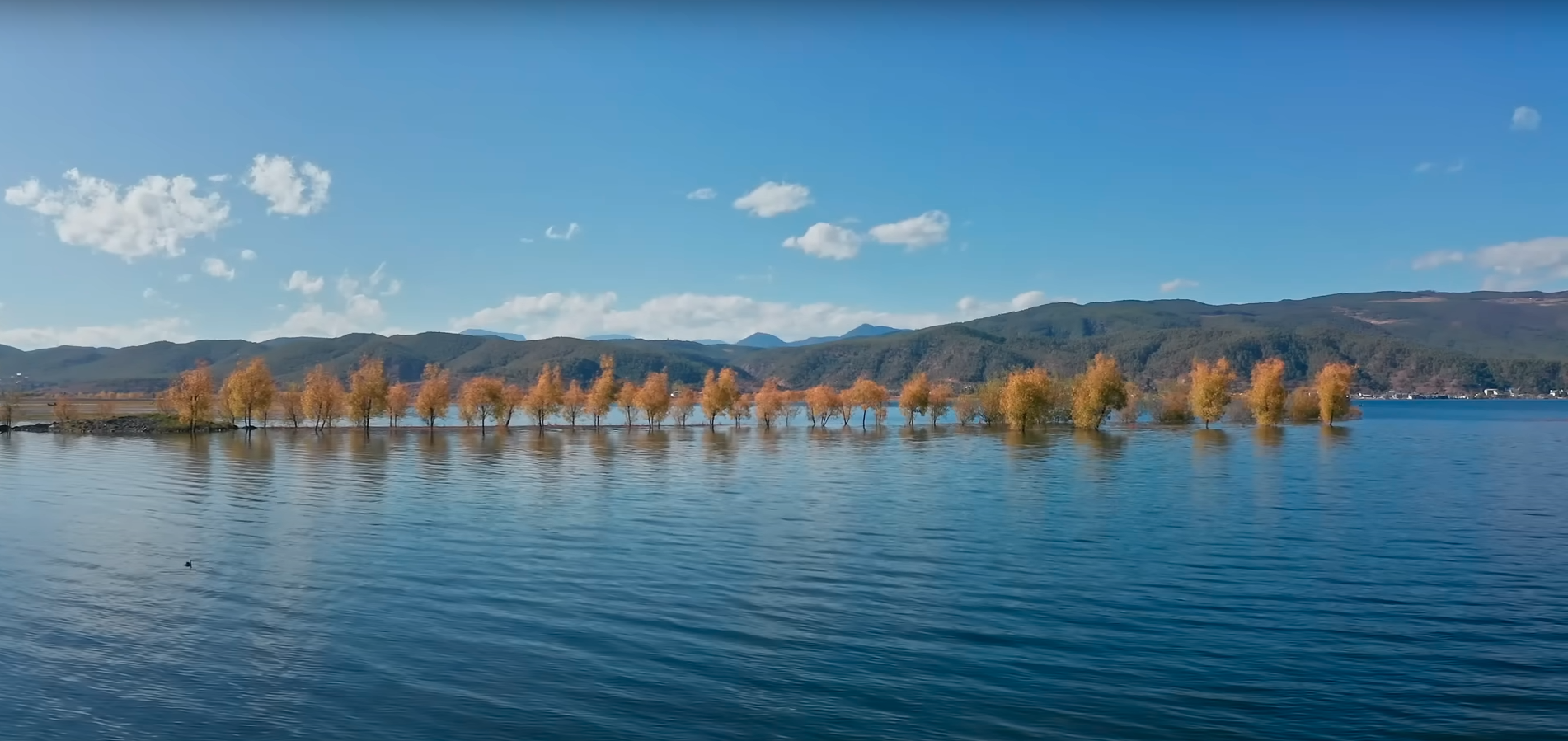 Lashi Lake Wetland Park