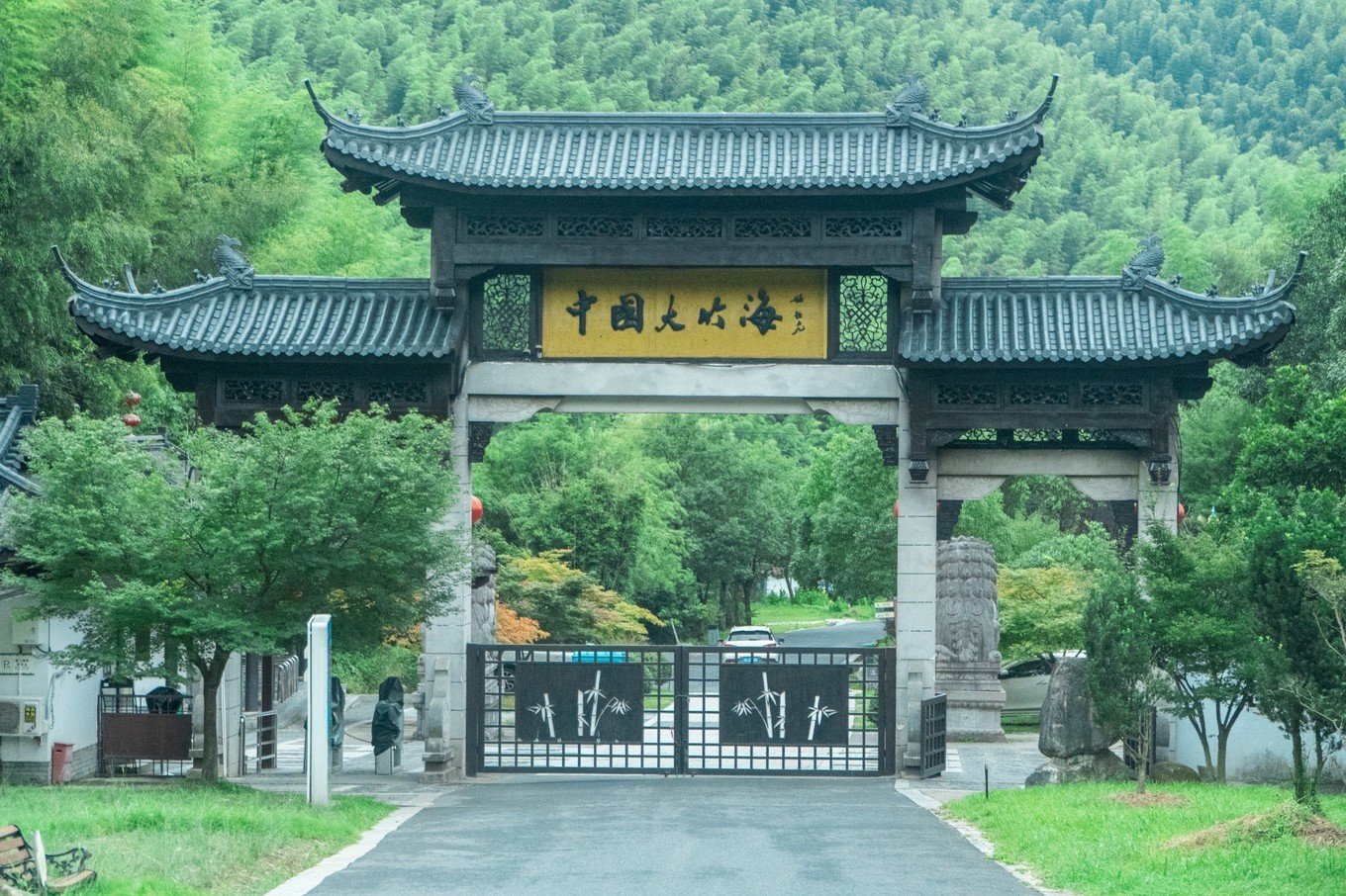 China Bamboo Sea