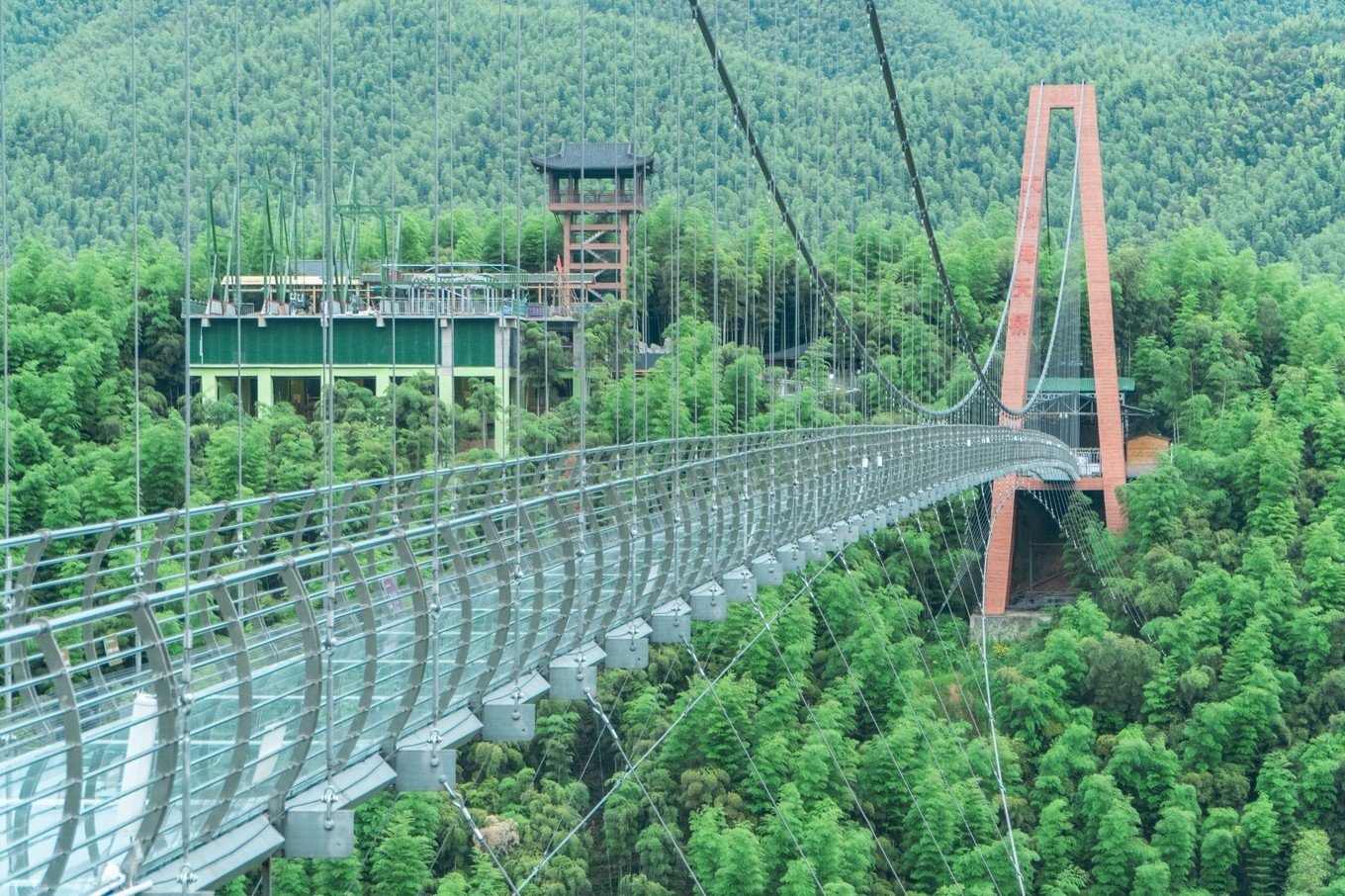 China Bamboo Sea