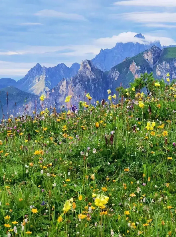 Jiuding Mountain Scenic Area