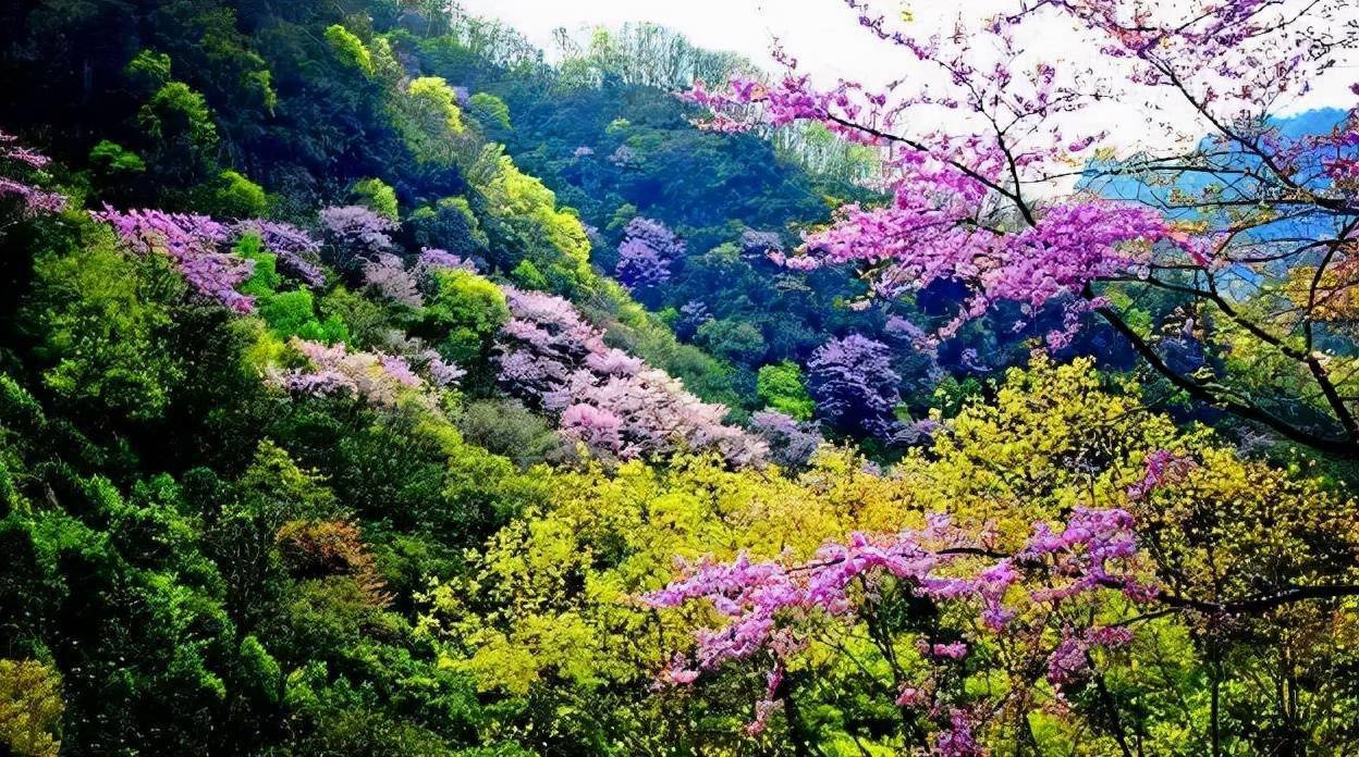 Tangjiahe National Nature Reserve