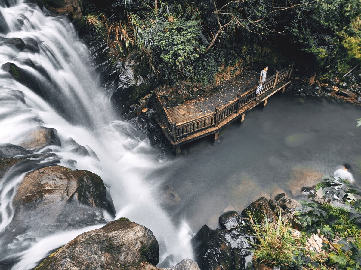 White Cloud Forest Park