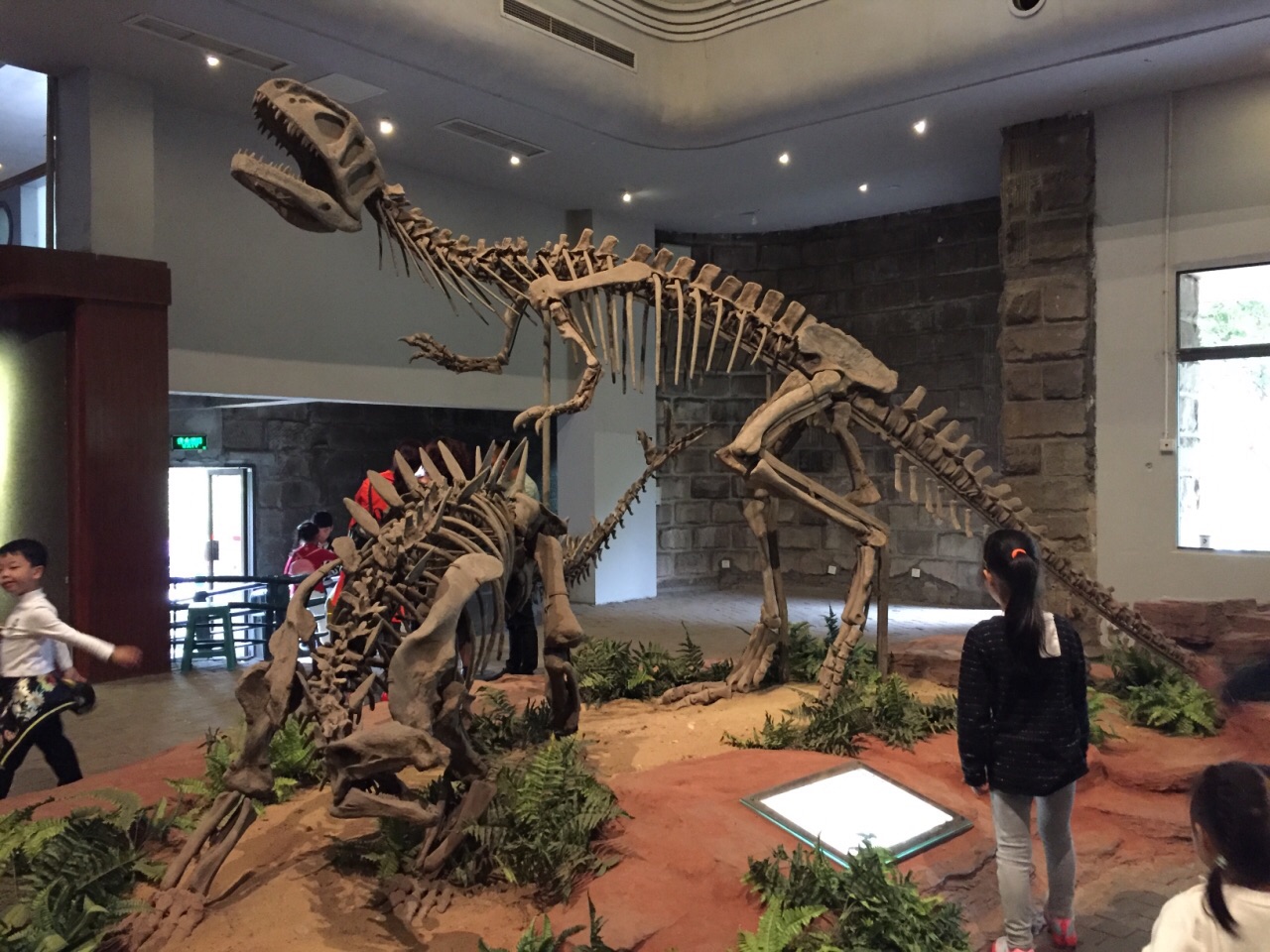 Zigong Dinosaur Museum