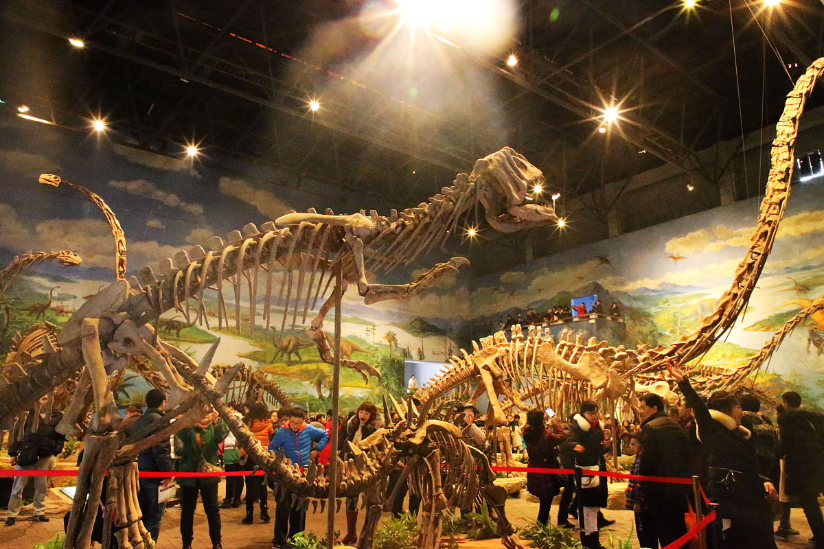 Zigong Dinosaur Museum